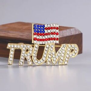 Trump 2024 Brooch, Trump 2024 Pin